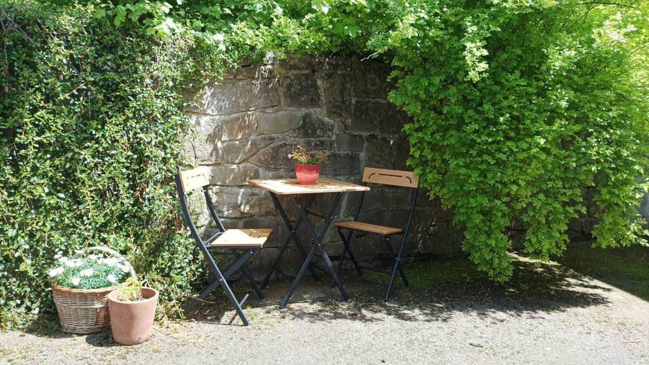 Appartement Alpenraum à Bad Hindelang Extérieur photo